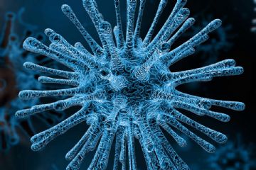 EMERGENZA EPIDEMIOLOGICA da" COVID 2019 - (CORONAVIRUS)"